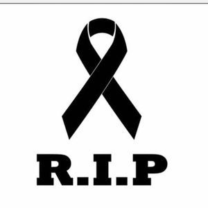 Meet your Posher, Carmen